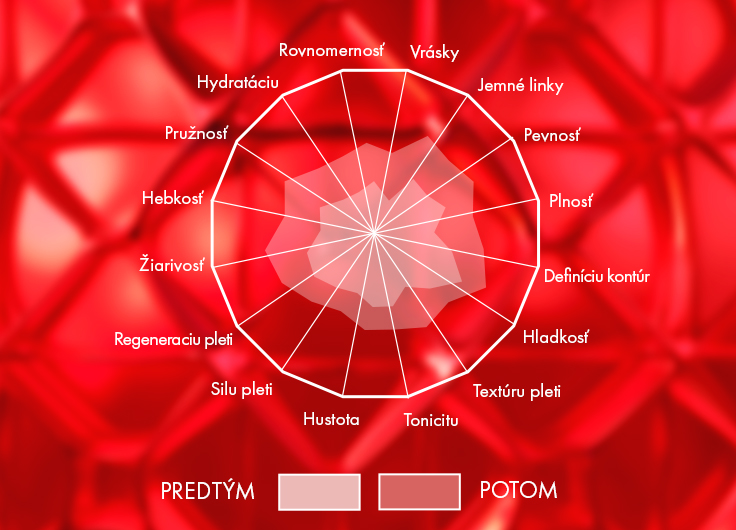 CS16 refresh vichy pages - SK.jpg