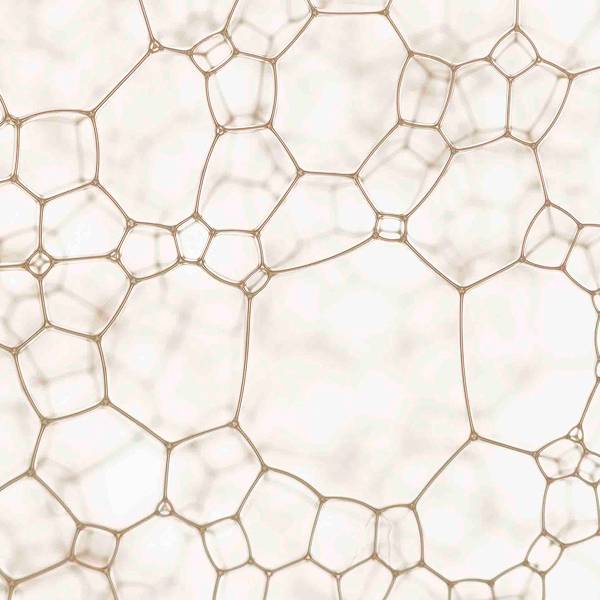 Najlepšie potraviny pre obdobie menopauzy